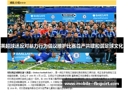 英超球迷反对暴力行为倡议维护比赛尊严共建和谐足球文化 英超球迷反对暴力行为倡议维护比赛尊严共建和谐足球文化
