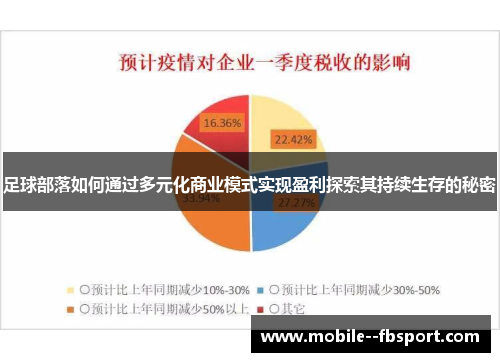 足球部落如何通过多元化商业模式实现盈利探索其持续生存的秘密 足球部落如何通过多元化商业模式实现盈利探索其持续生存的秘密