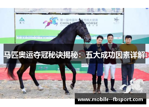 马匹奥运夺冠秘诀揭秘:五大成功因素详解 马匹奥运夺冠秘诀揭秘:五大成功因素详解