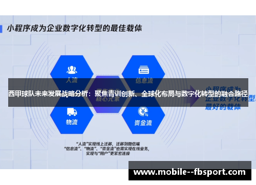 西甲球队未来发展战略分析:聚焦青训创新、全球化布局与数字化转型的融合路径 西甲球队未来发展战略分析:聚焦青训创新、全球化布局与数字化转型的融合路径