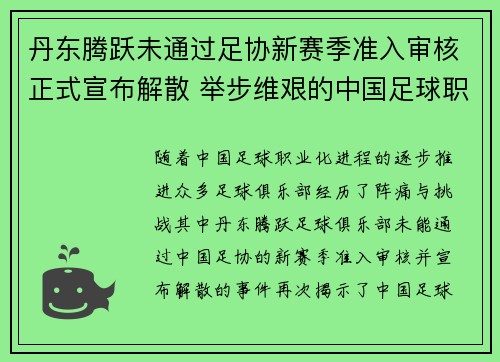 丹东腾跃未通过足协新赛季准入审核正式宣布解散 举步维艰的中国足球职业化困境再现 丹东腾跃未通过足协新赛季准入审核正式宣布解散 举步维艰的中国足球职业化困境再现